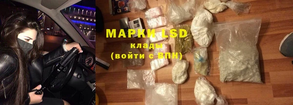 прущие грибы Губаха