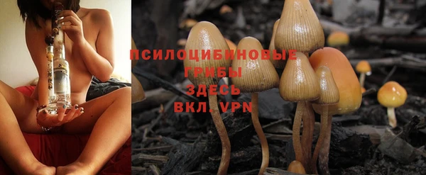стафф Грязовец