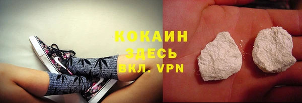 прущие грибы Губаха
