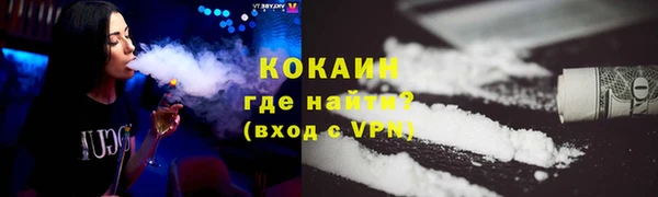 соль ск Козельск