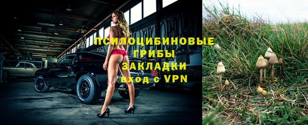 Альфа ПВП Коряжма