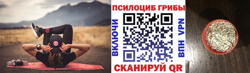 blacksprut ссылка  Кирсанов  Псилоцибиновые грибы GOLDEN TEACHER  даркнет состав  купить наркоту 